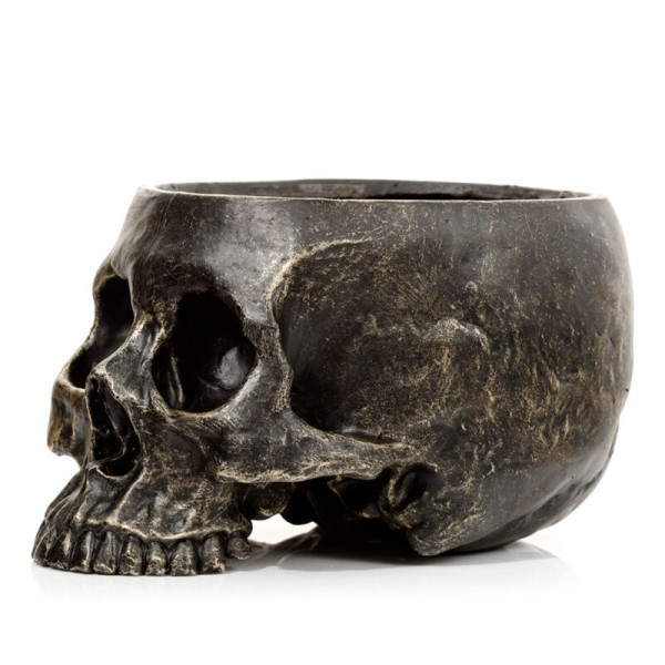Vase - Pot pour plante - Forme de crâne - 10,5x12,5x19,5cm - Décoration originale