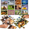 Jeu de société - Puzzle battle - Thème nature - Dès 7 ans - 12 puzzles de 42 pièces - Educa