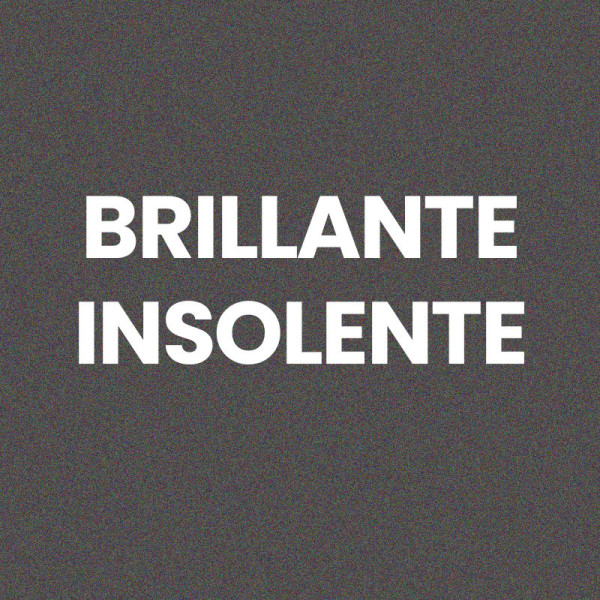 Chaussettes - Femme - Gris avec paillettes - Brillante insolente - Taille 36/42 - Humour - Cadeau