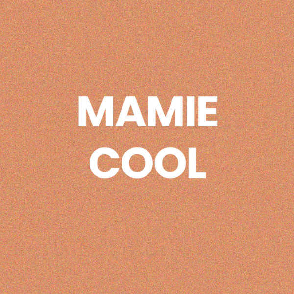 Chaussettes - Femme - Orange avec paillettes - Mamie cool - Taille 36/42 - Humour - Cadeau