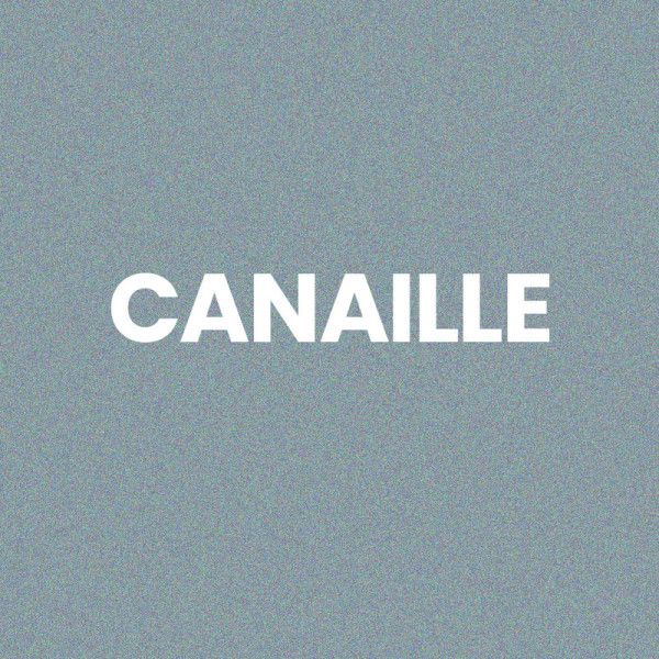Chaussettes - Femme - Gris avec paillettes - Canaille - Taille 36/42 - Humour - Cadeau