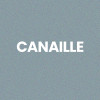 Chaussettes - Femme - Gris avec paillettes - Canaille - Taille 36/42 - Humour - Cadeau