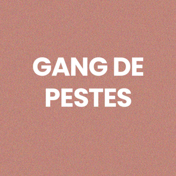 Chaussettes - Femme - Rose avec paillettes - Gang de pestes - Taille 36/42 - Humour - Cadeau