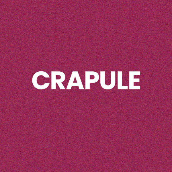 Chaussettes - Femme - Rose avec paillettes - Crapule - Taille 36/42 - Humour - Cadeau