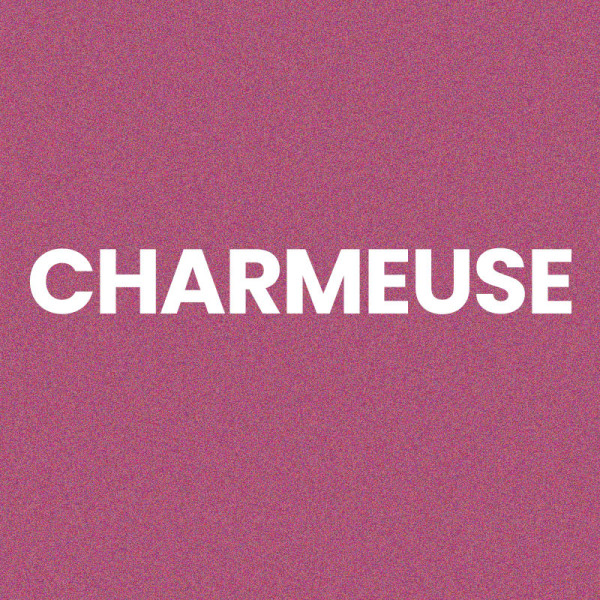 Chaussettes - Femme - Rose avec paillettes - Charmeuse - Taille 36/42 - Humour - Cadeau