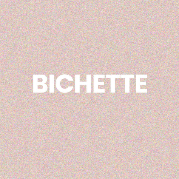 Chaussettes - Femme - Rose avec paillettes - Bichette - Taille 36/42 - Humour - Cadeau