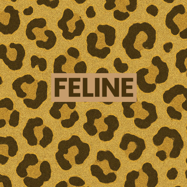 Chaussettes - Femme - Léopard avec paillettes - Féline - Taille 36/42 - Humour - Cadeau