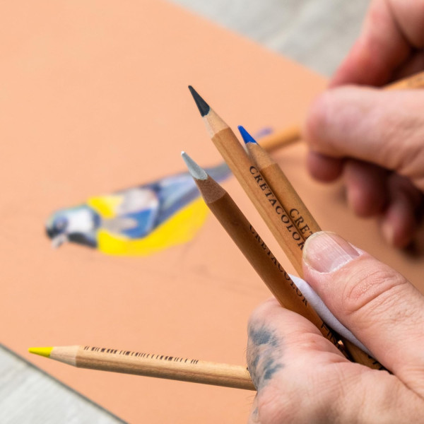 Crayons pastel - 5 couleurs + estompe + gomme mie de pain - Cretacolor Fine Art