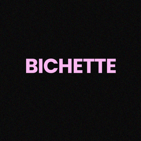 Chaussettes - Femme - Noir avec paillettes - Bichette - Taille 36/42 - Humour - Cadeau