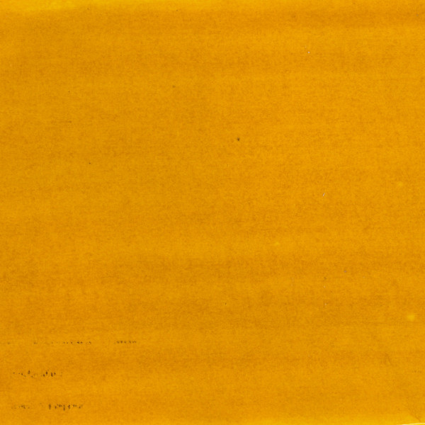 Encre aquarelle - Jaune indien - 42 - Illustration, BD, manga, calligraphie - Colorex - Pébéo - 45ml