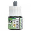 Encre aquarelle - Vert d'Orient - 33 - Illustration, BD, manga, calligraphie - Colorex - Pébéo - 45ml