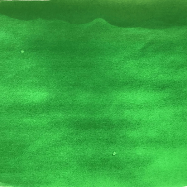 Encre aquarelle - Vert d'Orient - 33 - Illustration, BD, manga, calligraphie - Colorex - Pébéo - 45ml