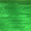 Encre aquarelle - Vert d'Orient - 33 - Illustration, BD, manga, calligraphie - Colorex - Pébéo - 45ml