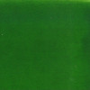Encre aquarelle - Vert mousse - 35 - Illustration, BD, manga, calligraphie - Colorex - Pébéo - 45ml