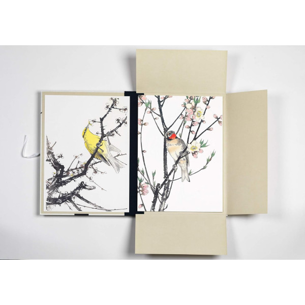 Estampes japonaises - 8 reproductions d'oiseaux - 42x30cm - Haute qualité - Affiches