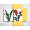 Estampes - 8 reproductions de fleurs - 42x30cm - Haute qualité - Affiches