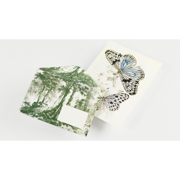 Coffret de correspondance - Papier à lettres + enveloppes + autocollants - Natural History