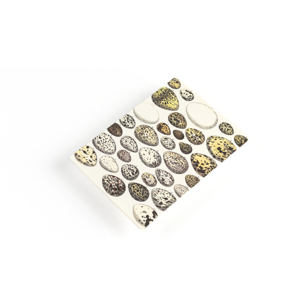 Coffret de correspondance - Papier à lettres + enveloppes + autocollants - Natural History