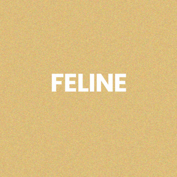 Chaussettes à paillettes - Socquettes - Femme - Or - Féline - Taille 36/42