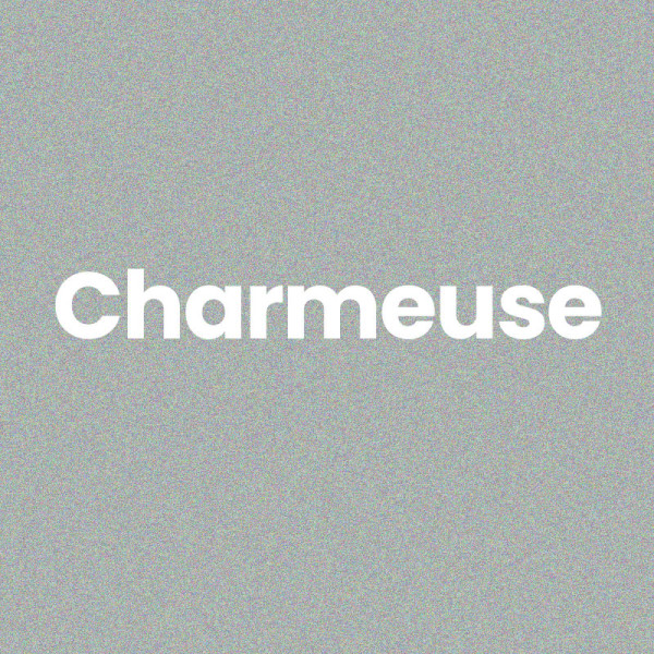 Chaussettes à paillettes - Socquettes - Femme - Gris - Charmeuse - Taille 36/42