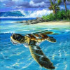 Peinture par numéro - Tortue détendue - 40x50cm - Toile + pinceaux + peinture - Complexe - Figured'Art