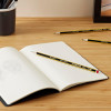 Crayon graphite - HB - Lot de 3 - Idéal pour l'écriture, dessin, école, bureau - Staedtler Noris
