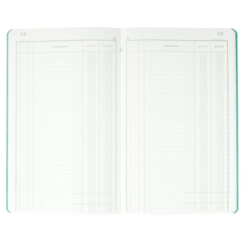 Piqûre - 32X19,5 Cm - Recettes-Dépenses - 80 Pages - Exacompta | Surdiscount