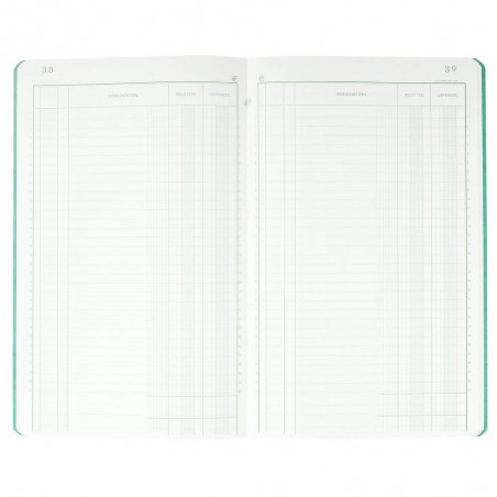 Piqûre - 32X19,5 Cm - Recettes-Dépenses - 80 Pages - Exacompta | Surdiscount