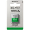 photo-Aquarelle Professionnelle Extra-Fine - 1/2 Godet - Vert cinabre - 420 - Winsor Et Newton
