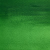Peinture aquarelle professionnelle - Extra fine - Vert cinabre - 420 - Winsor et Newton - 5ml
