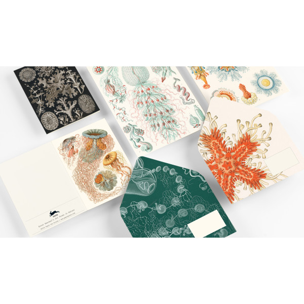 Coffret de correspondance - Papier à lettres + enveloppes + autocollants - Art Forms in Nature