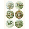 Livret d'étiquettes et stickers - Illustrations nature - Scrapbooking - 32 feuilles - 250 étiquettes