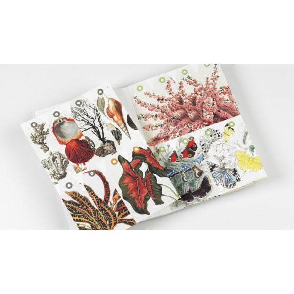Cahier scrapbooking - Histoire naturelle - Cartes, enveloppes, autocollants - Pepin