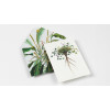 Cahier scrapbooking - Histoire naturelle - Cartes, enveloppes, autocollants - Pepin