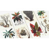 Cahier scrapbooking - Histoire naturelle - Cartes, enveloppes, autocollants - Pepin