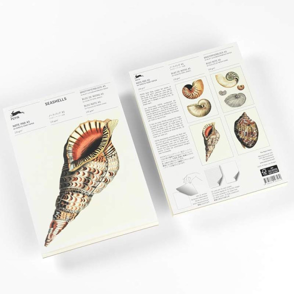 Bloc-notes - A5 - 64 feuilles papier ivoire - 120g - Avec illustrations de coquillages