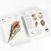 Bloc-notes - A5 - 64 feuilles papier ivoire - 120g - Avec illustrations de coquillages