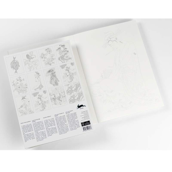 Livre de coloriage - Beaux-arts - Adulte - Aquarelle et crayons - Illustrations japonaises - 12 modèles