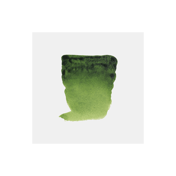 Peinture aquarelle - Extra-fine - Vert de vessie - 623 - Rembrandt - Tube 10ml