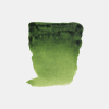 Peinture aquarelle - Extra-fine - Vert de vessie - 623 - Rembrandt - Tube 10ml