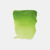 Peinture aquarelle - Extra-fine - Vert jaune permanent - 633 - Rembrandt - Tube 10ml
