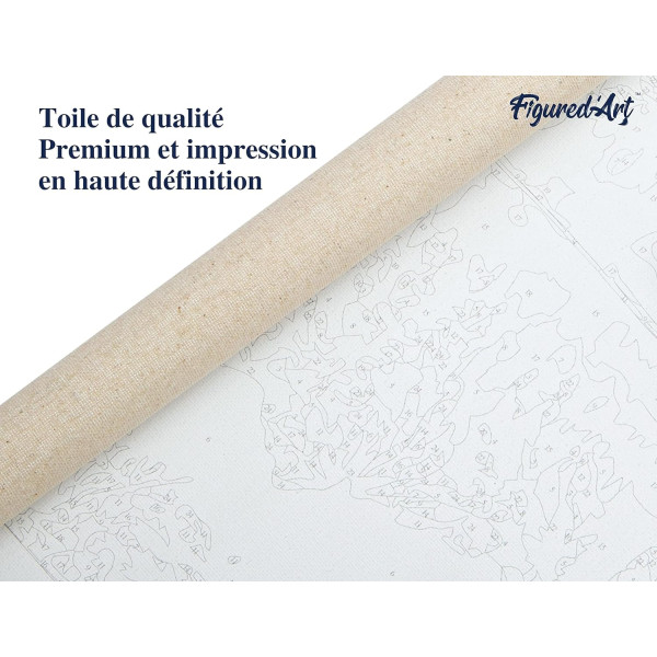 Peinture par numéro - Regard envoutant - 40x50cm - Toile + pinceaux + peinture - Intermédiaire - Figured'Art