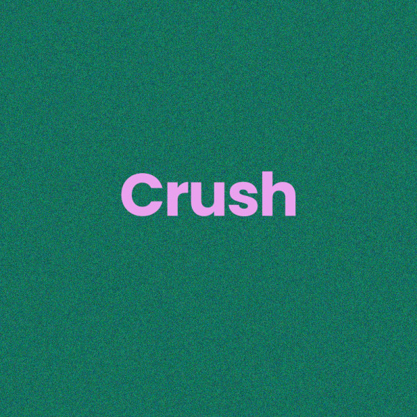 Chaussettes - Femme - Vert avec paillettes - Crush - Taille 36/42 - Humour - Cadeau