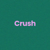 Chaussettes - Femme - Vert avec paillettes - Crush - Taille 36/42 - Humour - Cadeau