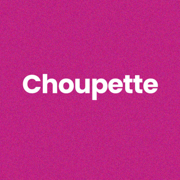 Chaussettes - Femme - Rose avec paillettes - Choupette - Taille 36/42 - Humour - Cadeau