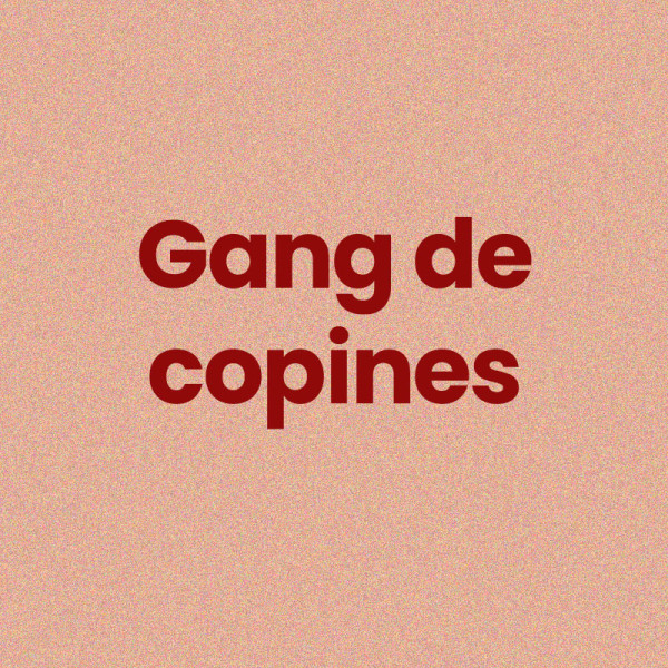 Chaussettes - Femme - Orange avec paillettes - Gang de copines - Taille 36/42 - Humour - Cadeau