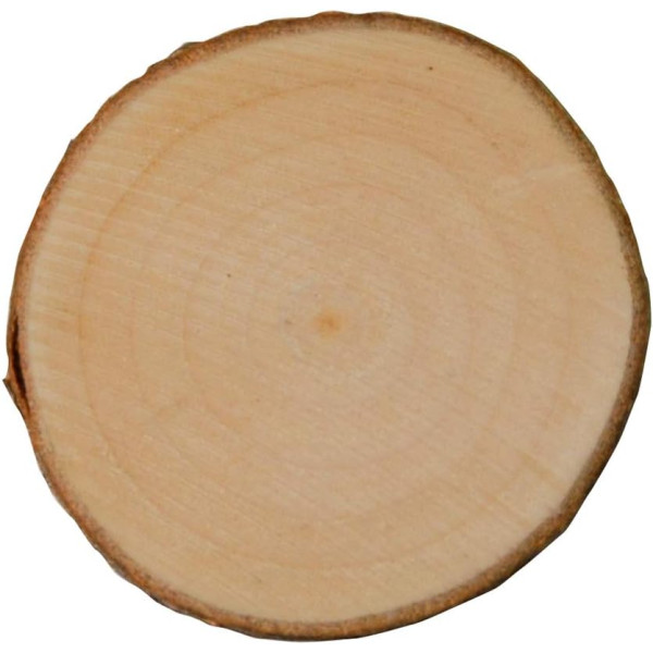 Rondelles de bois - 3 à 4 cm diamètre - 40 pièces - A décorer - Loisirs créatifs