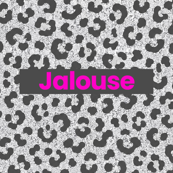 Chaussettes - Femme - Motif léopard avec paillettes - Jalouse - Taille 36/42 - Humour - Cadeau