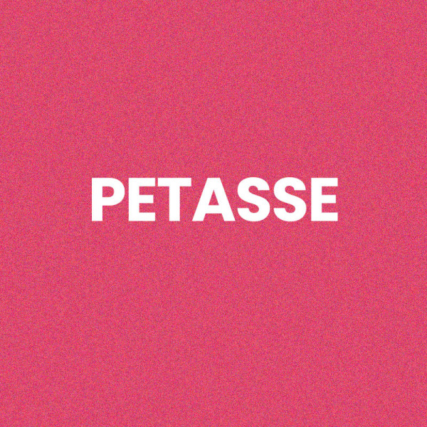 Chaussettes - Femme - Rose avec paillettes - Pétasse - Taille 36/42 - Humour - Cadeau