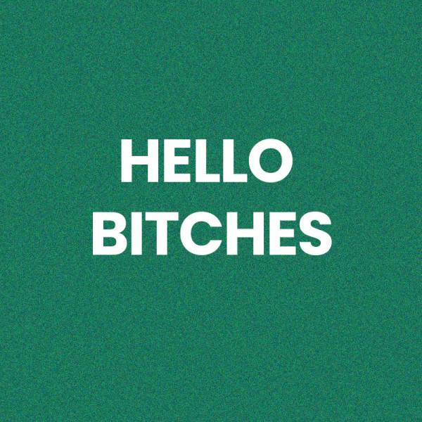 Chaussettes - Femme - Vert avec paillettes - Hello Bitches - Taille 36/42 - Humour - Cadeau